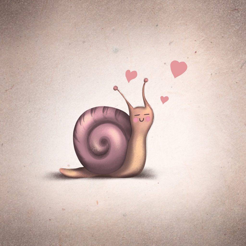 snail-6855730_1920