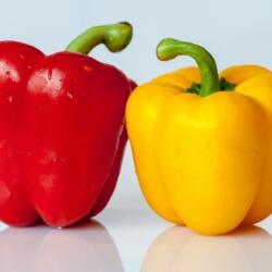 Sweet bell Peppers 2 Pack - 2 Mixed Peppers
