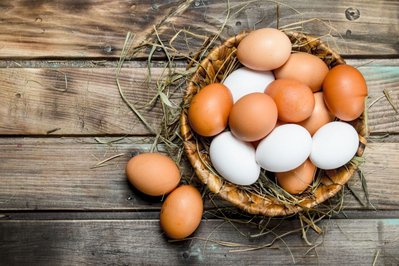 Free Range Eggs,Non GMO, Large,White, Carton of 12 Eggs
