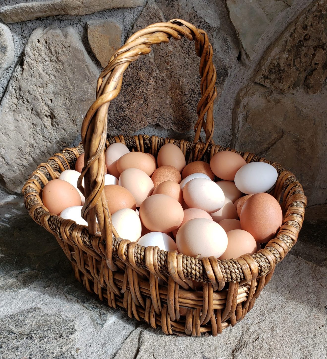 Farm fresh eggs