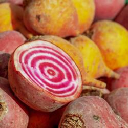 beetroot-3440339_1920