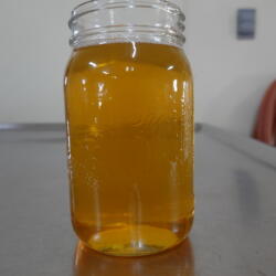 Rendered Beef Tallow - 2.2lb / 1L Jar