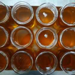 Rendered Beef Tallow - 2 x 2.2lb / 1L Jar