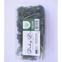 Baby Dill - 15g clamshell