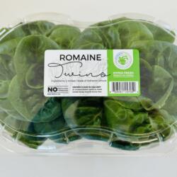 Romaine Twins