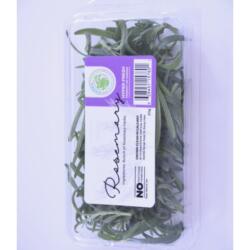 Young Rosemary - 20g Clamshell