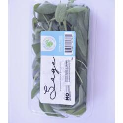 Sage - 15g Clamshell