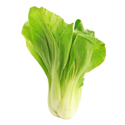 Bok Choy Head