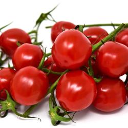 Cocktail Tomatoes - Traditional 1.2-1.4lb bag