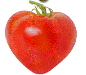 Cocktail Tomatoes - Strawberry 1.2-1.4lb bag