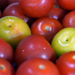 Cocktail Tomatoes - Plum 1.2-1.4lb bag
